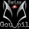Swiss_goupil