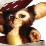 Gizmo84