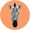 dtswissrox